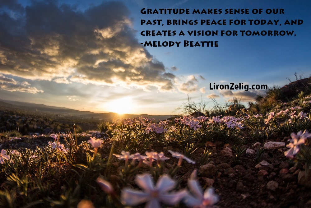 gratitude-